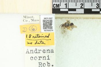 Media type: image;   Entomology 769274 Aspect: Labels